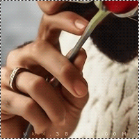 MMS ~